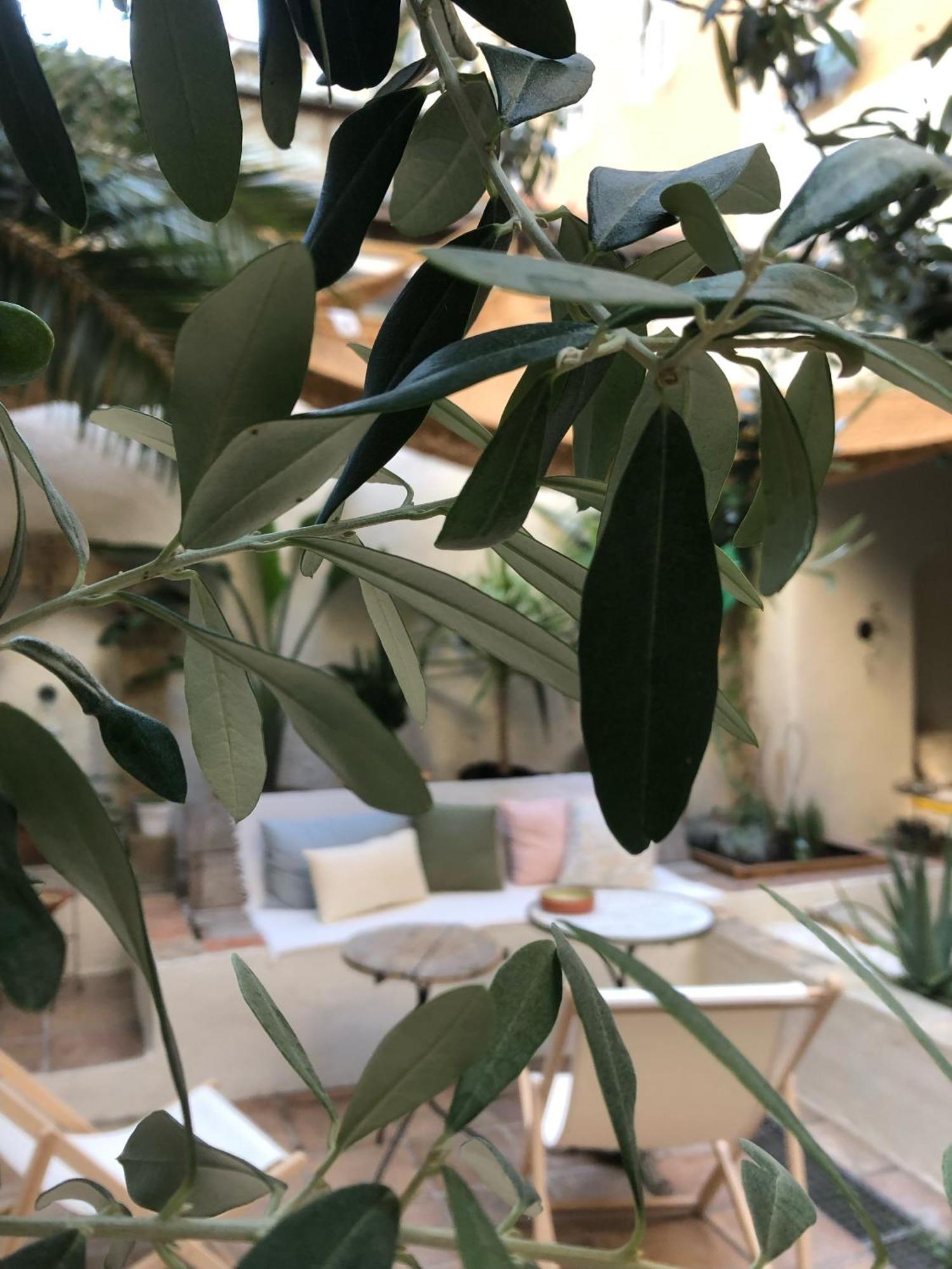 מרסיי Maison Olea מראה חיצוני תמונה