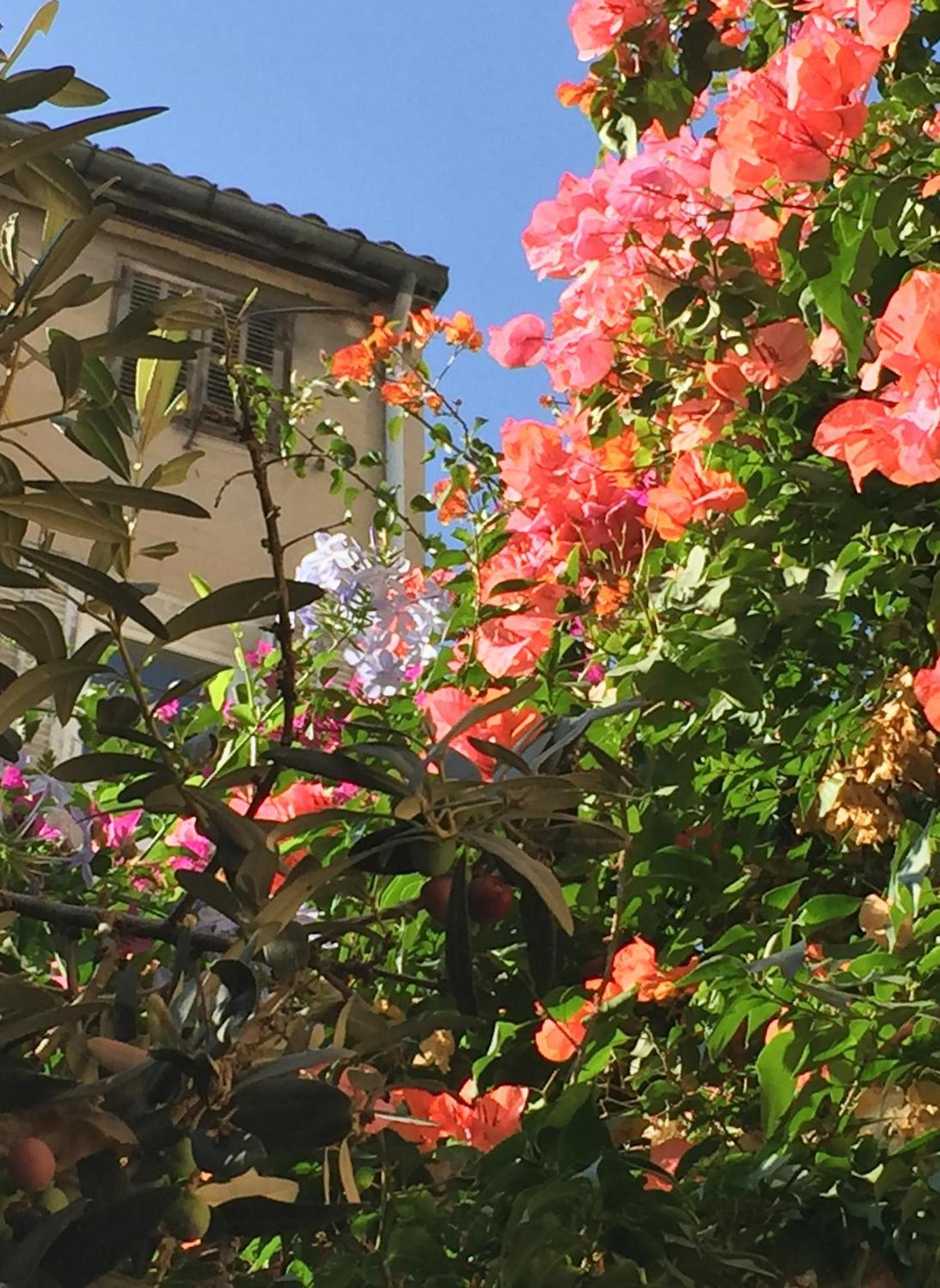 מרסיי Maison Olea מראה חיצוני תמונה